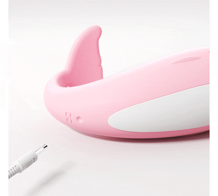 Little Whale Jumping Egg